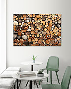 Obraz Drevo guľatina imitácia 1530